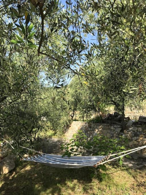 Villa Berio Due - Tuija Villa Viani 外观 照片