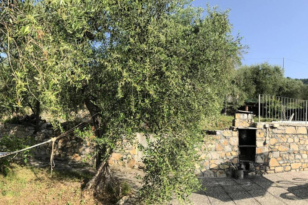 Villa Berio Due - Tuija Villa Viani 外观 照片