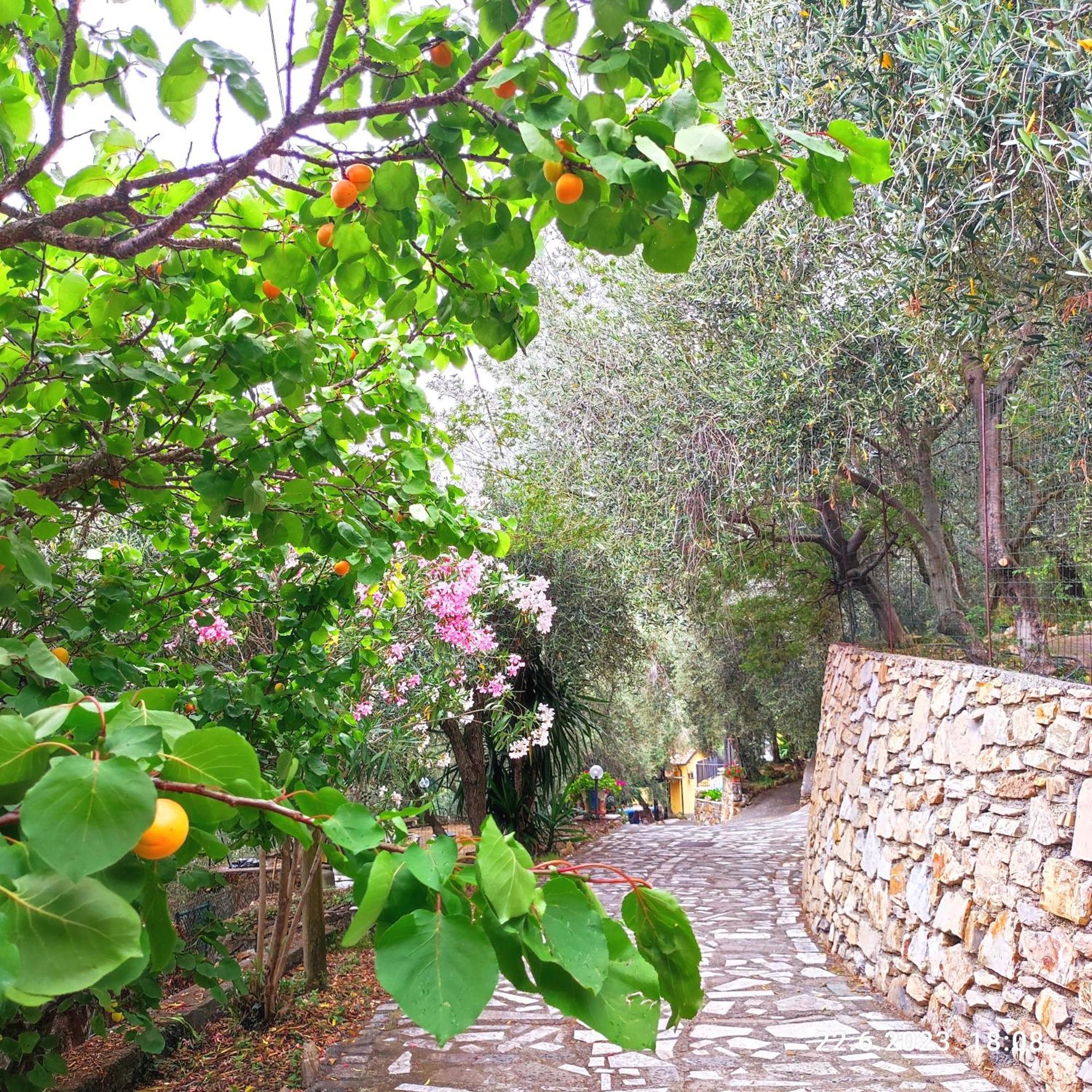 Villa Berio Due - Tuija Villa Viani 外观 照片