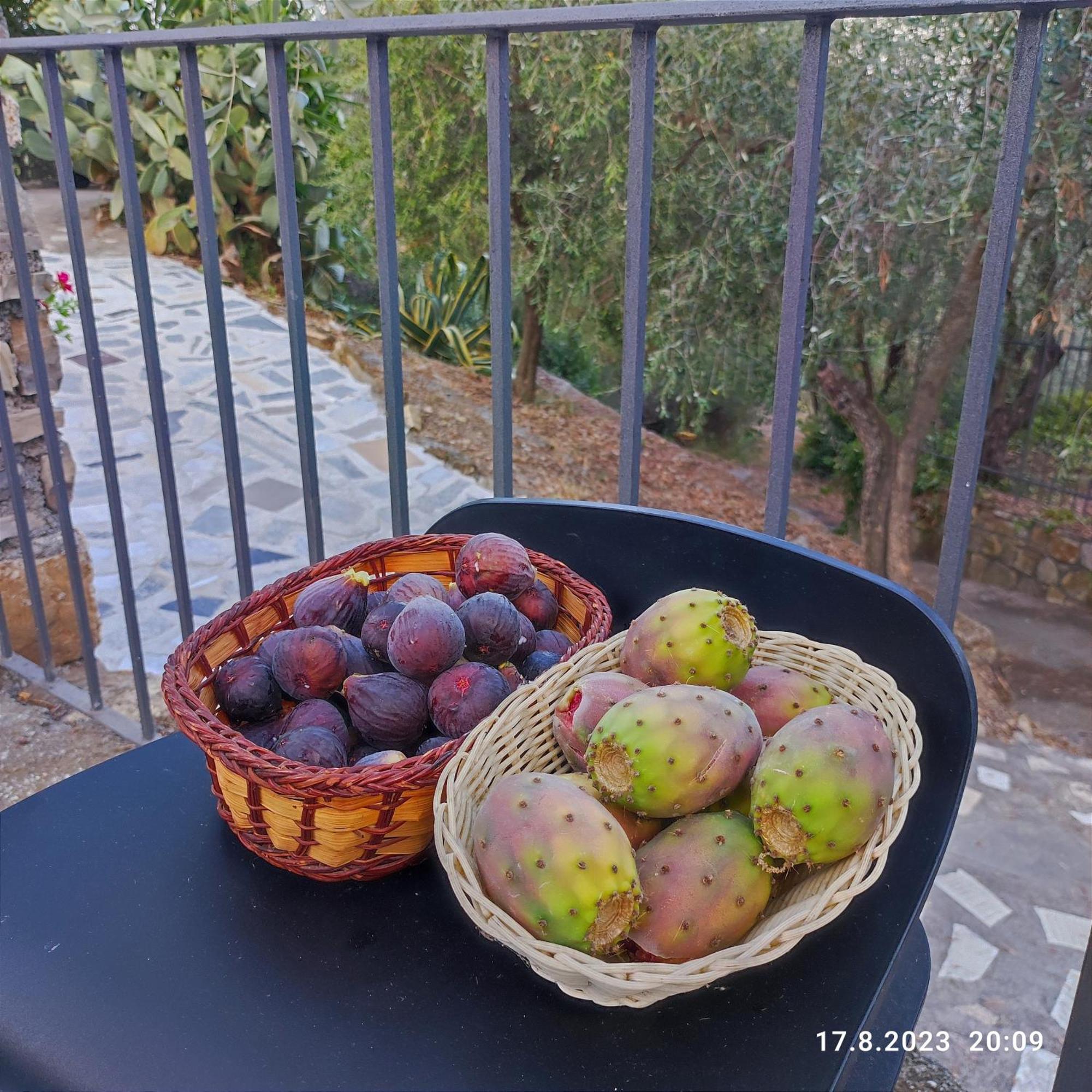 Villa Berio Due - Tuija Villa Viani 外观 照片